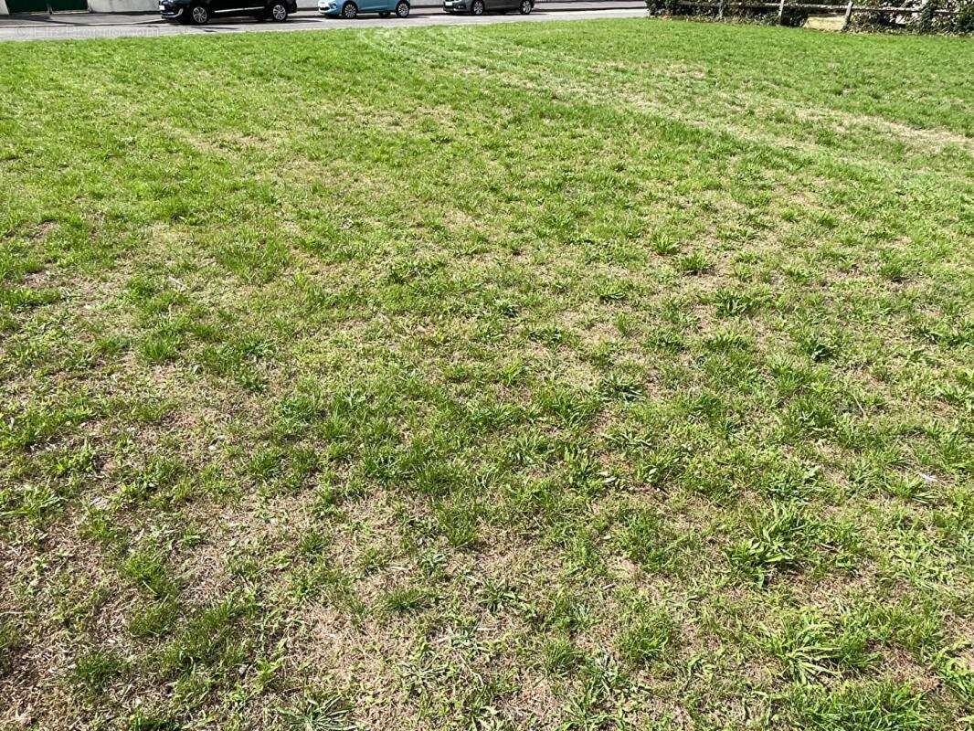 Terrain à NOGENT-SUR-VERNISSON