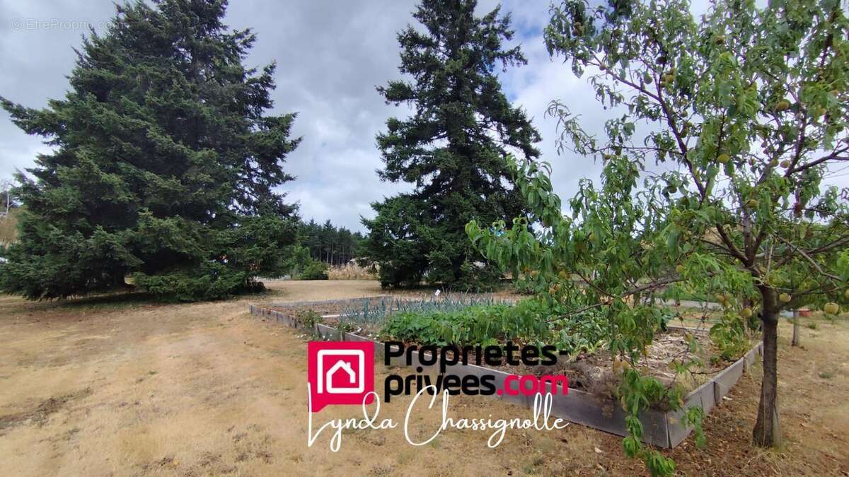 Terrain à SAINT-ANDRE-D&#039;APCHON