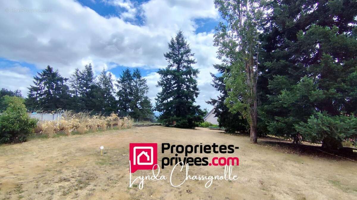 Terrain à SAINT-ANDRE-D&#039;APCHON