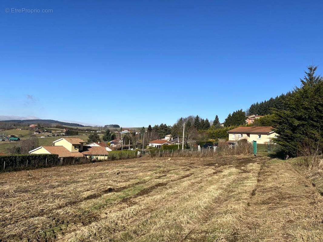 Terrain à VIOLAY