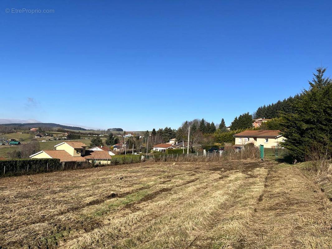 Terrain à VIOLAY
