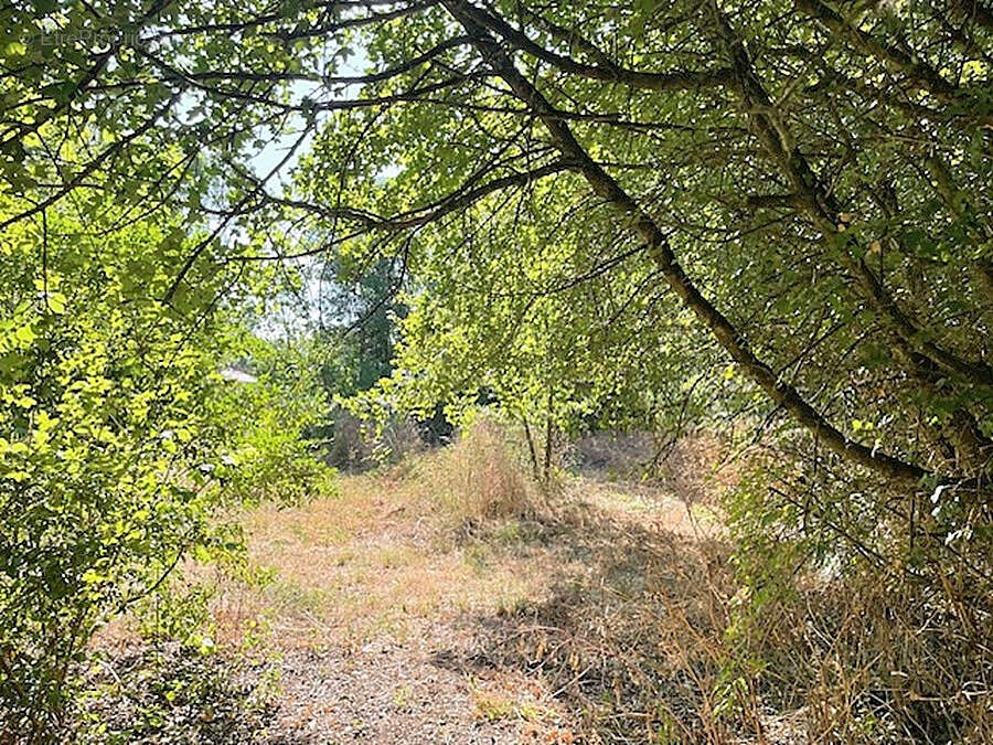 Terrain à FERRIERES