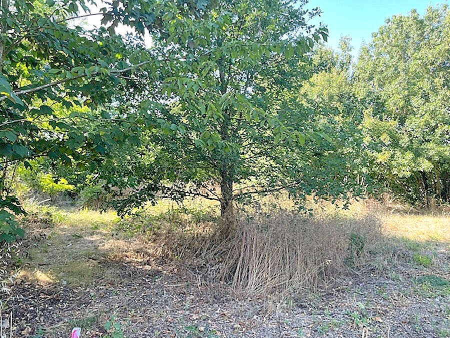 Terrain à FERRIERES