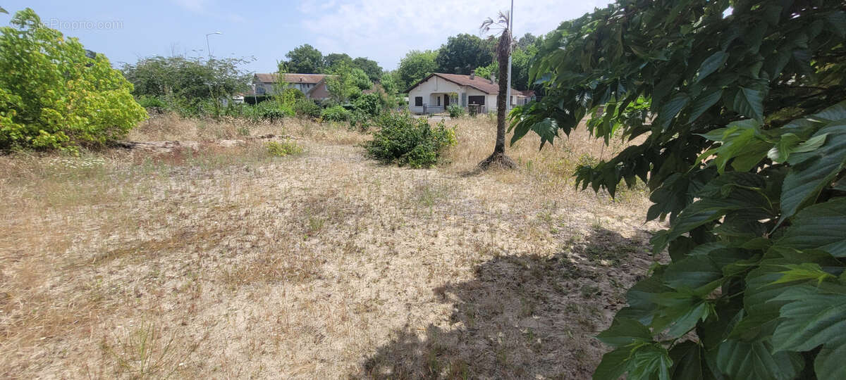 Terrain à MIMIZAN