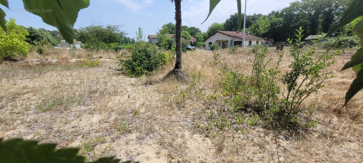 Terrain à MIMIZAN