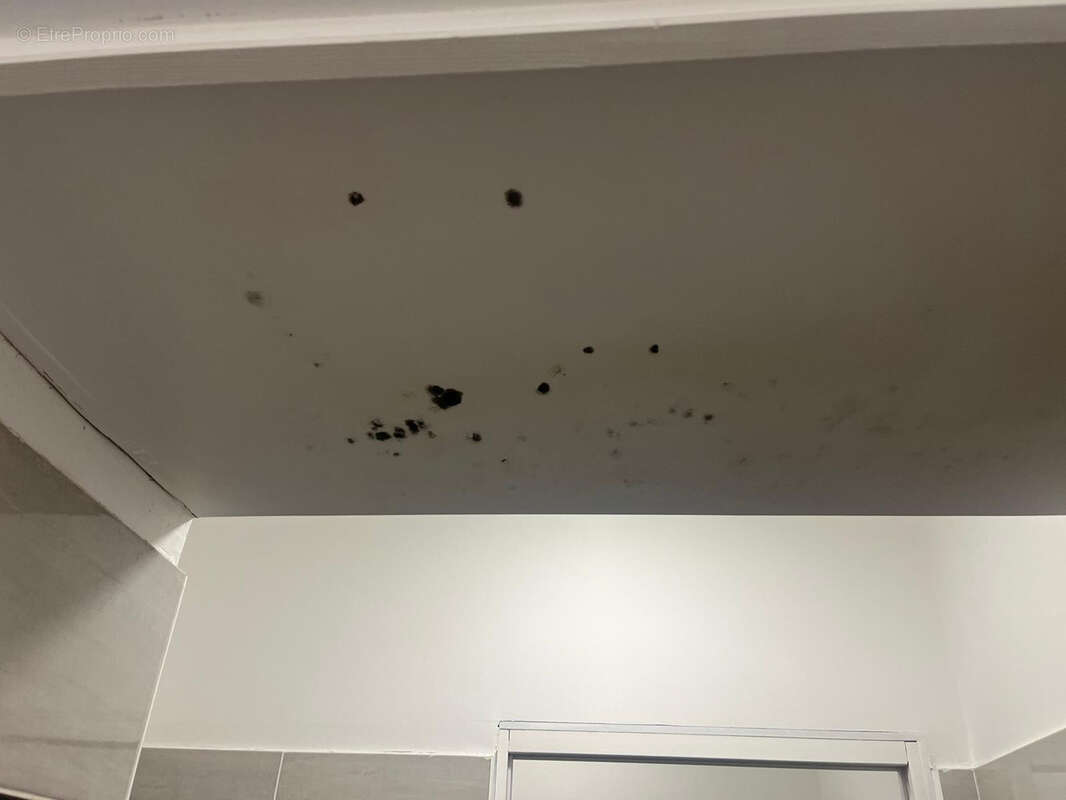 Commerce à MARSEILLE-5E