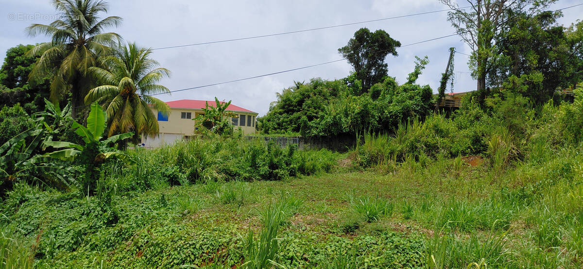 Terrain à GOYAVE