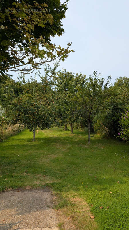 Maison à LE MINIHIC-SUR-RANCE