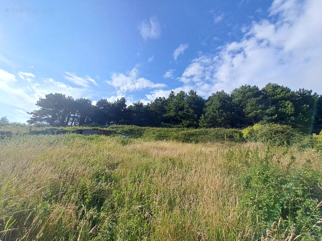 Maison à SAINT-VALERY-EN-CAUX