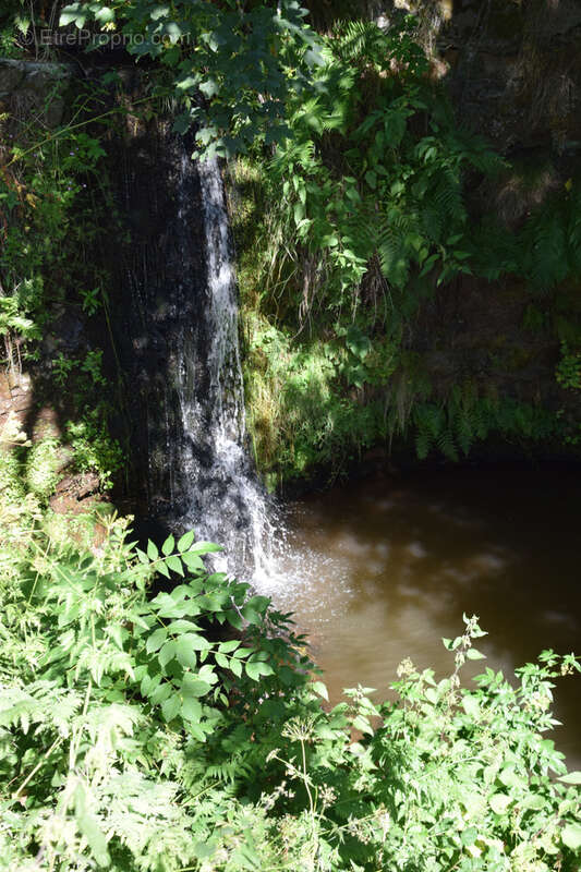 Maison à LES ESTABLES