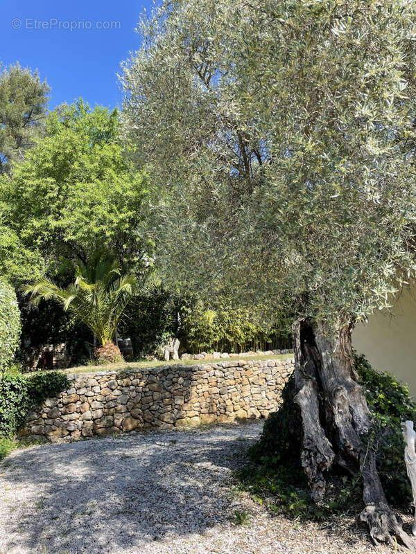 Maison à SOLLIES-PONT