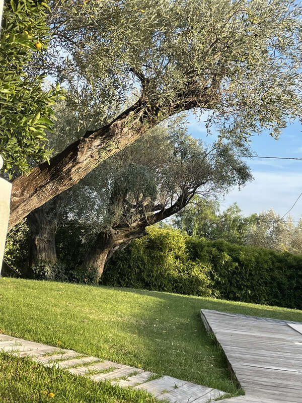 Maison à SOLLIES-PONT