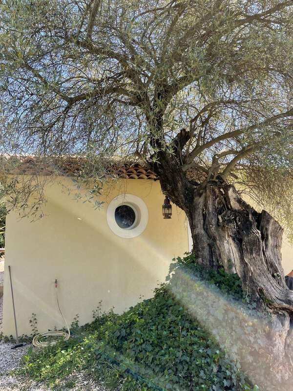 Maison à SOLLIES-PONT