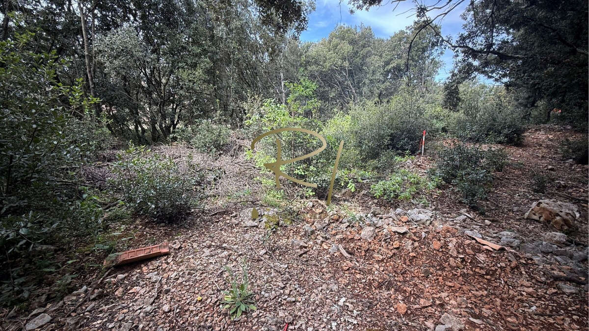 Terrain à ORGNAC-L&#039;AVEN