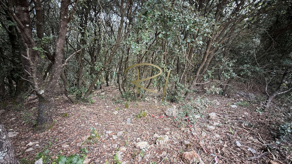 Terrain à ORGNAC-L&#039;AVEN