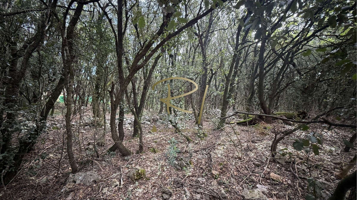 Terrain à ORGNAC-L&#039;AVEN