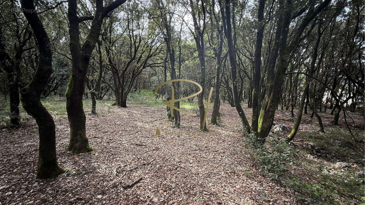 Terrain à ORGNAC-L&#039;AVEN