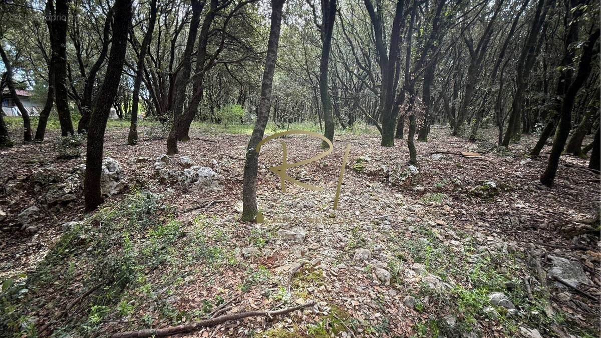 Terrain à ORGNAC-L&#039;AVEN