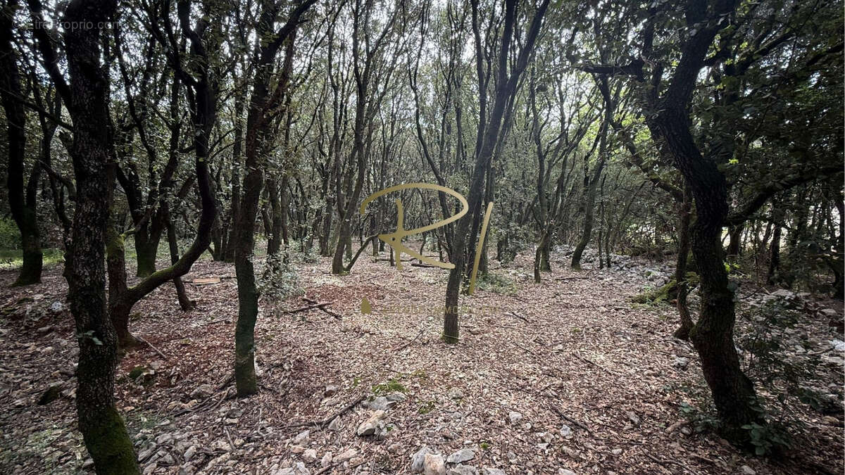 Terrain à ORGNAC-L&#039;AVEN