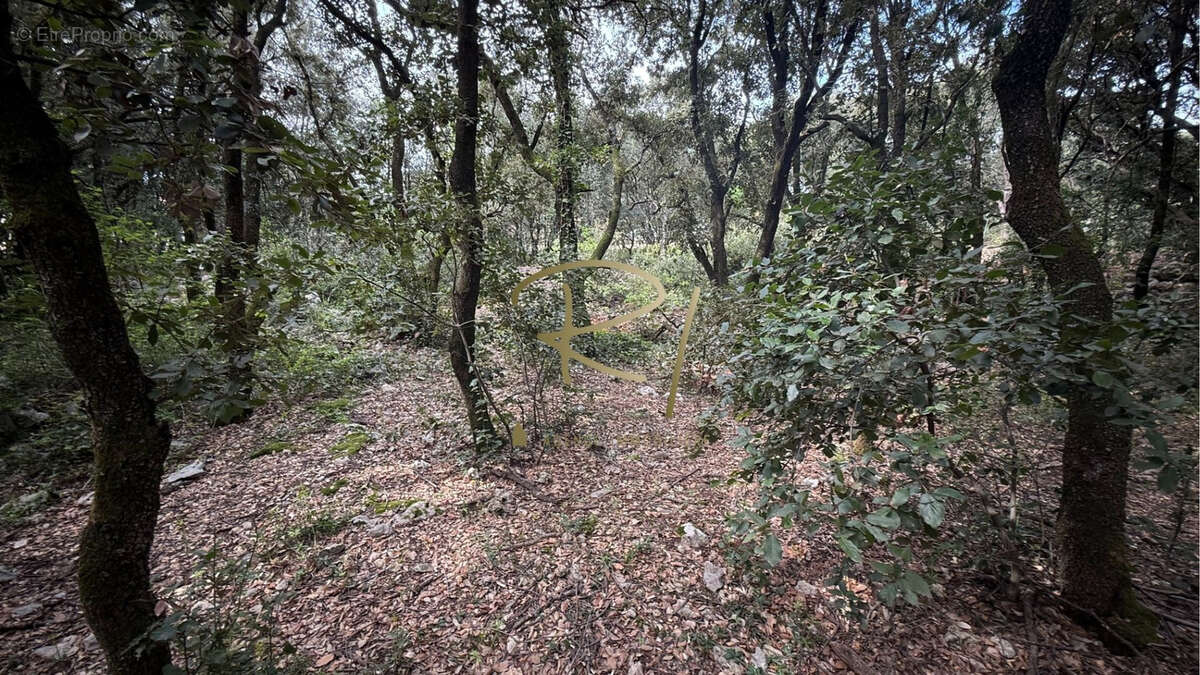 Terrain à ORGNAC-L&#039;AVEN