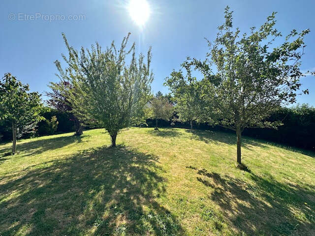 Maison à FOUCARMONT