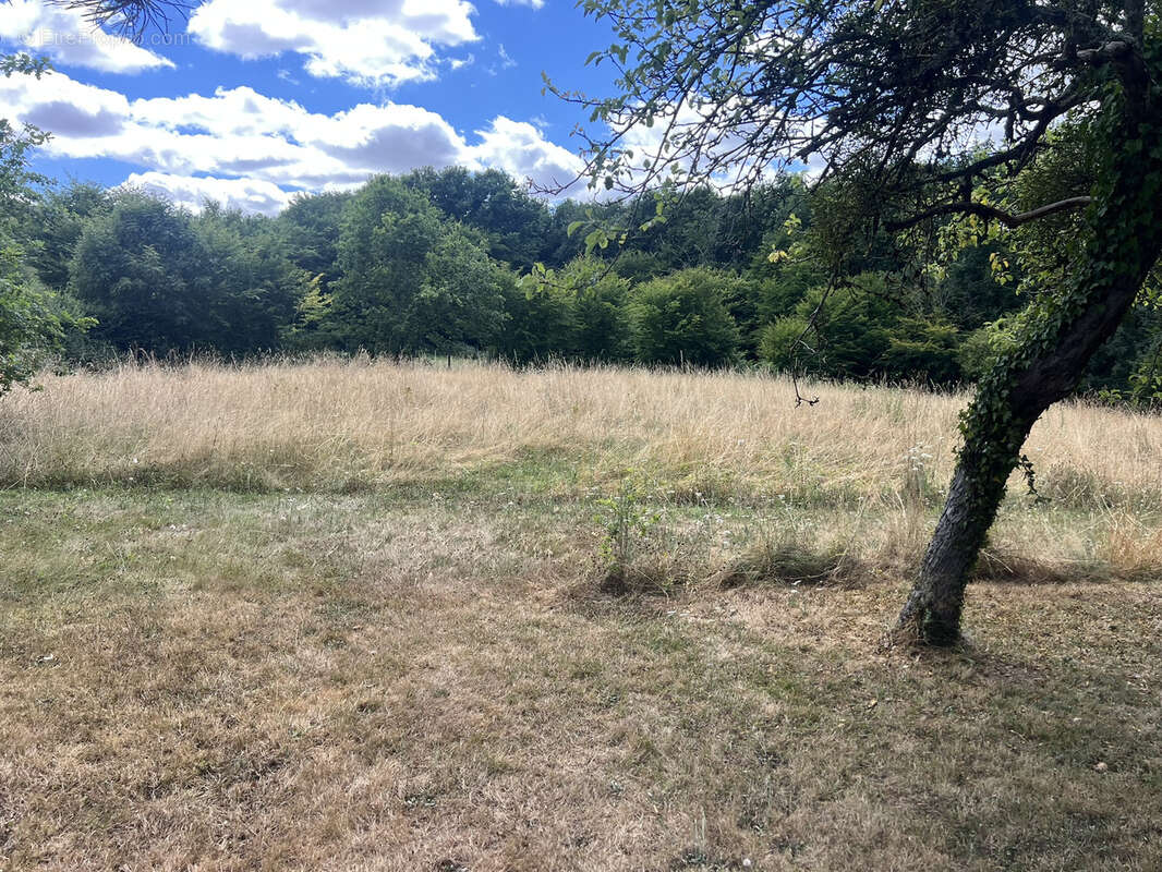 Maison à LIGNY-EN-BRIONNAIS