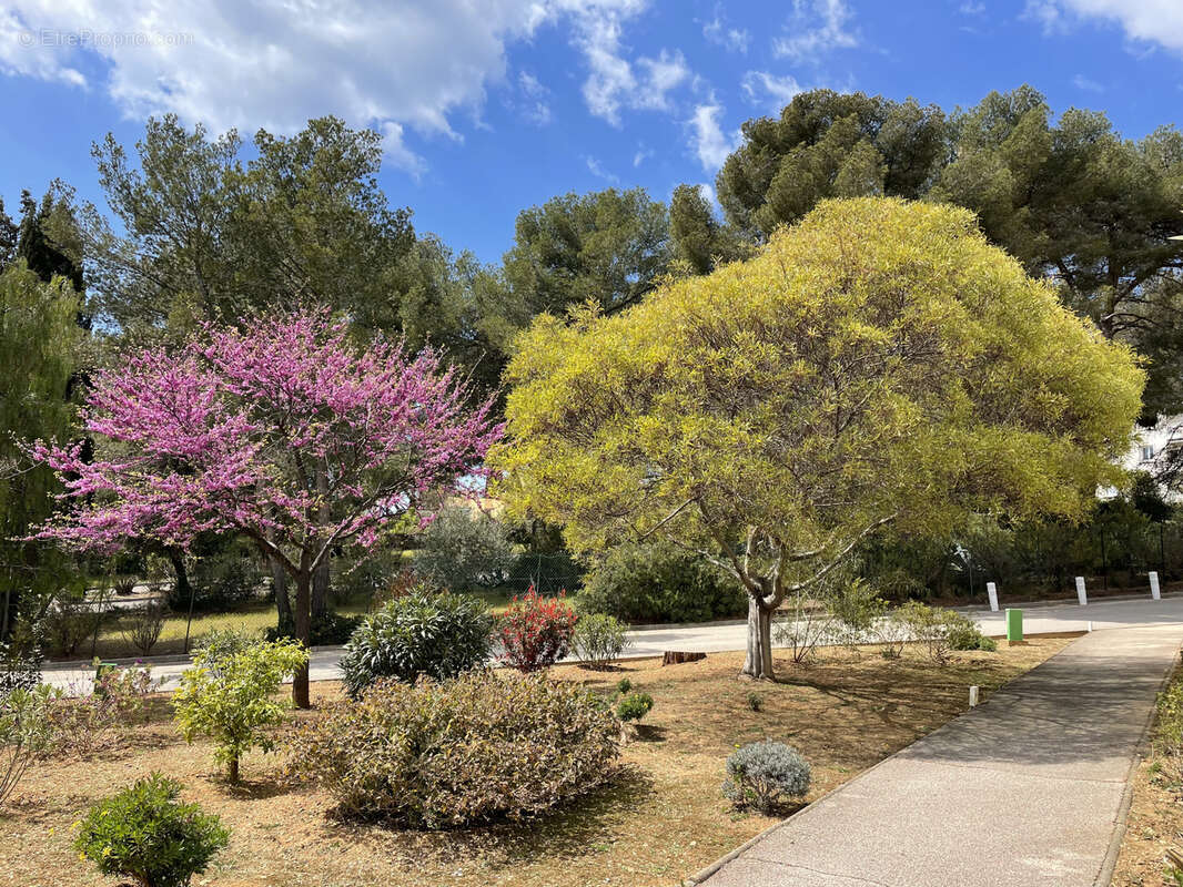 Appartement à BANDOL