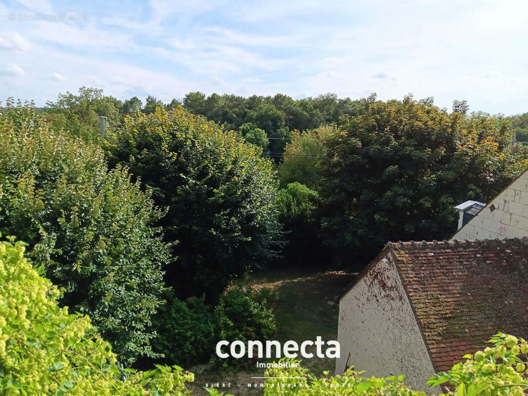 Maison à MONTHOU-SUR-CHER