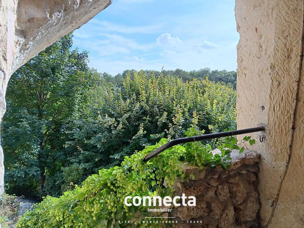 Maison à MONTHOU-SUR-CHER