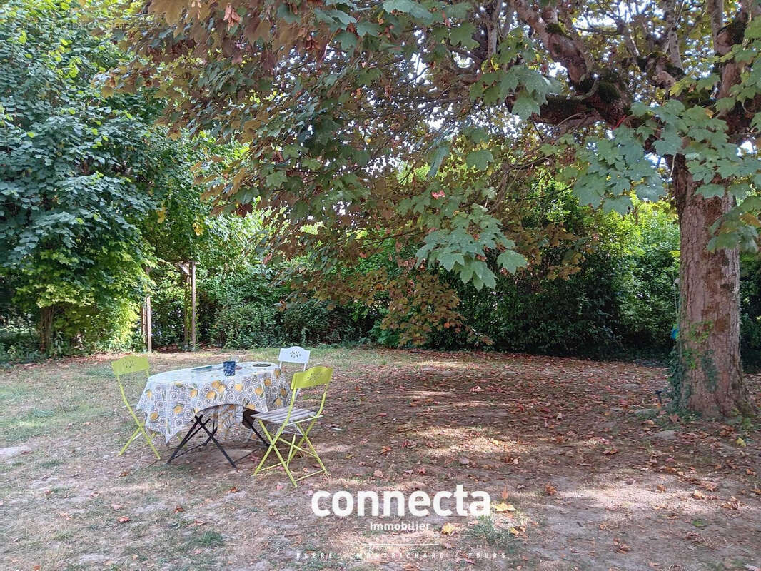 Maison à MONTHOU-SUR-CHER