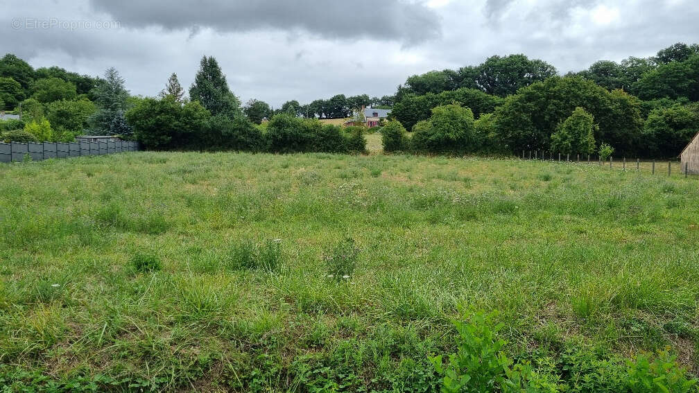 Terrain à BESSE-SUR-BRAYE
