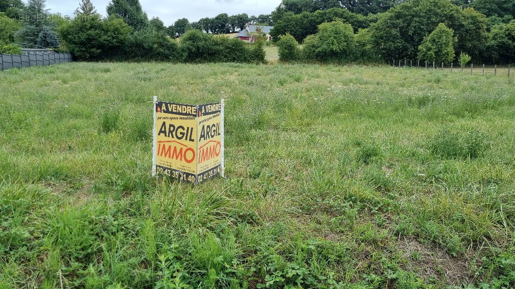 Terrain à BESSE-SUR-BRAYE