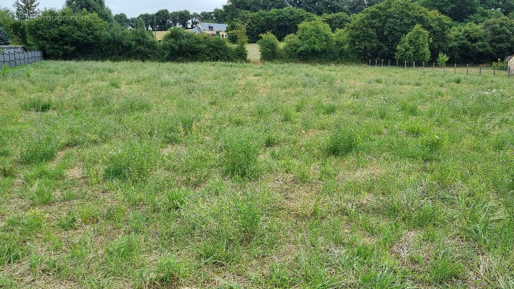 Terrain à BESSE-SUR-BRAYE