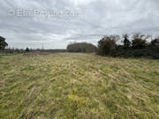 Terrain à SAINT-AUBIN-DE-BLAYE
