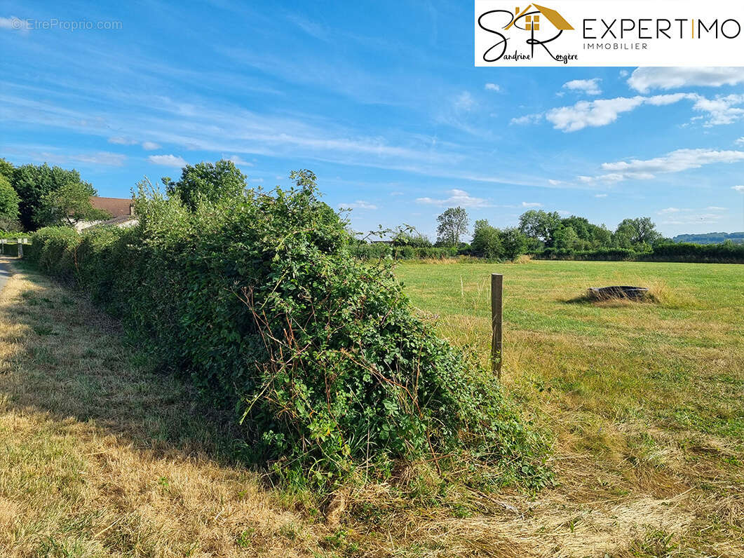 Terrain à NEUF-EGLISE