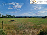Terrain à NEUF-EGLISE
