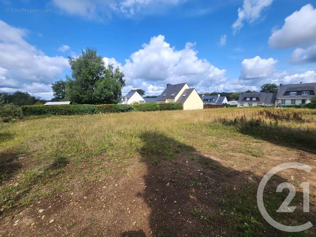 Terrain à NOYAL-MUZILLAC