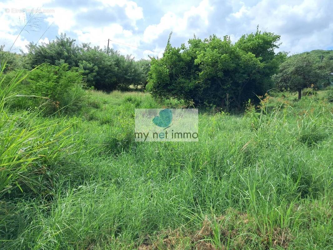Terrain à LE VAUCLIN