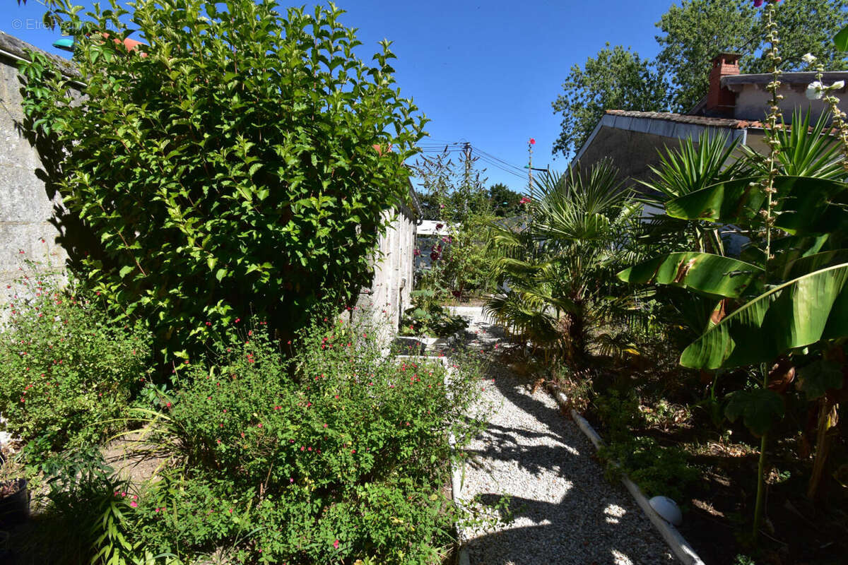 DSC_0017 - Maison à ANGOULEME