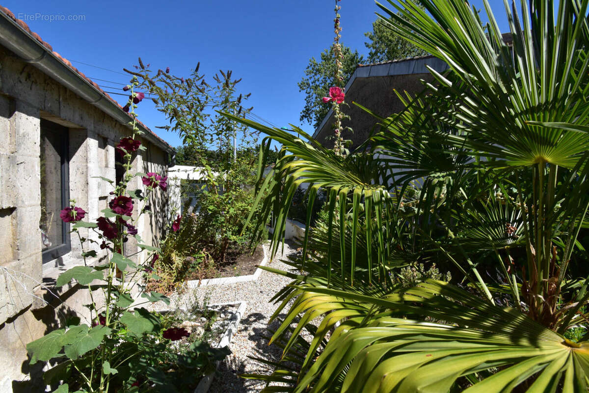 DSC_0019 - Maison à ANGOULEME