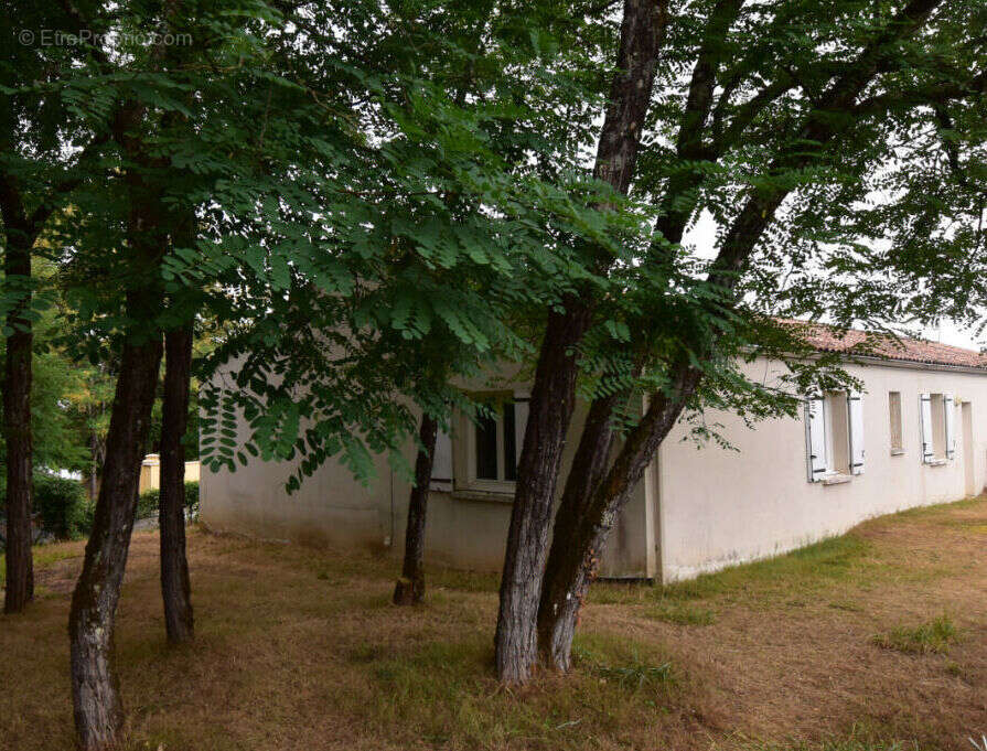 DSC_0015 - Maison à L&#039;ISLE-D&#039;ESPAGNAC