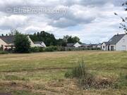 Terrain à BRAIN-SUR-ALLONNES