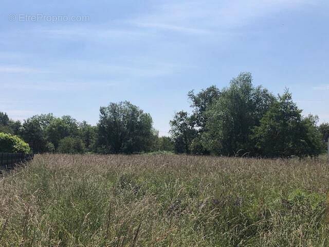 Terrain à ALLONNES