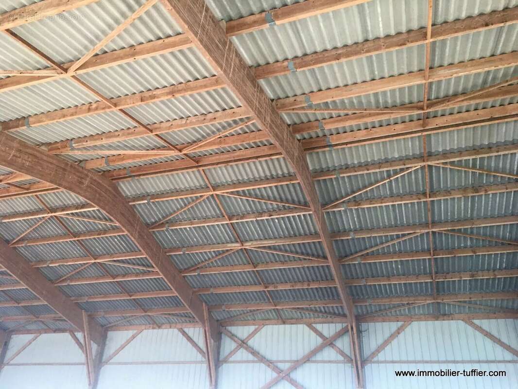 Maison à MONTFORT-LE-GESNOIS