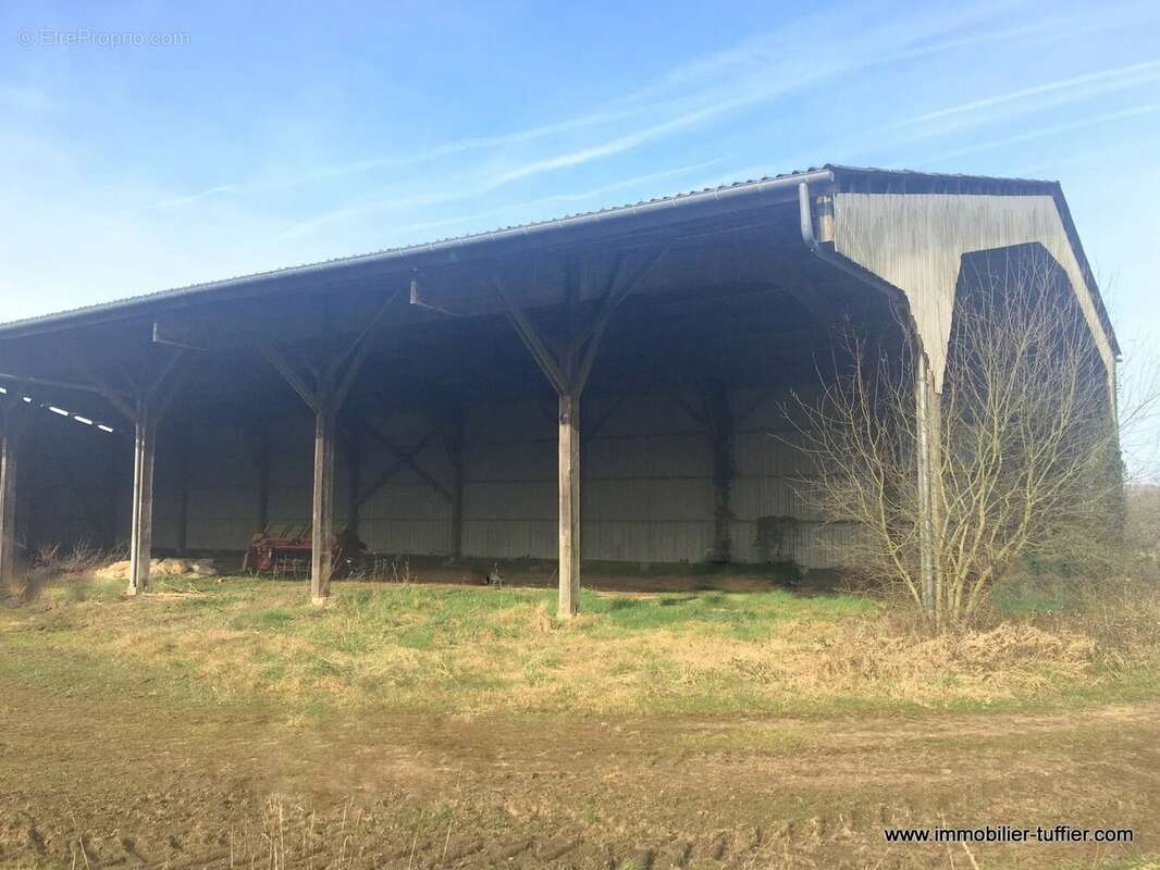 Maison à MONTFORT-LE-GESNOIS