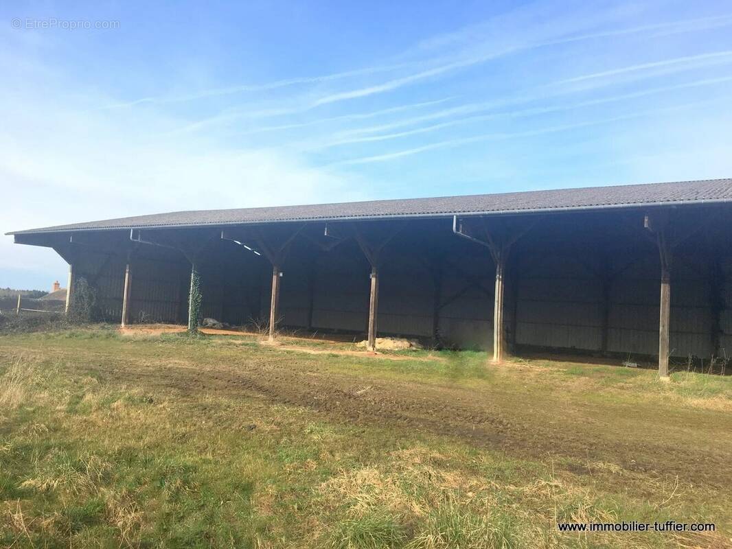 Maison à MONTFORT-LE-GESNOIS