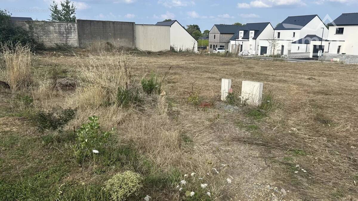 Terrain à NOZAY