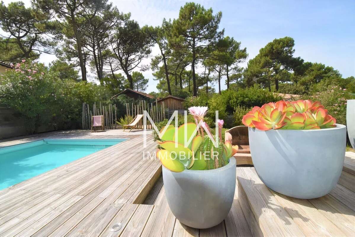 Maison à LEGE-CAP-FERRET