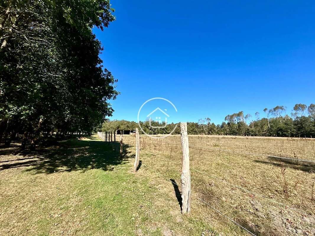 Maison à TOUR-EN-SOLOGNE