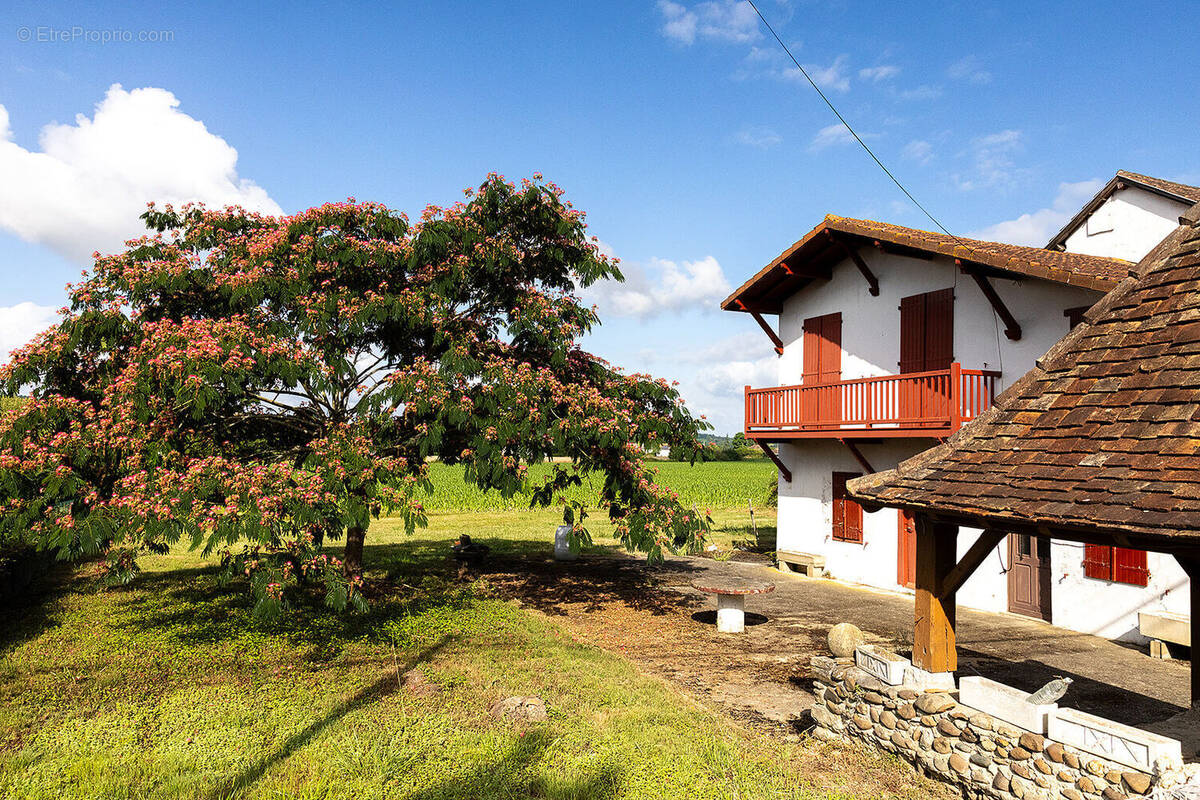 Photo 1 - Maison à ATHOS-ASPIS